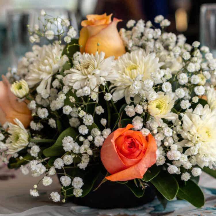 Talya Organizasyon Etkinlik